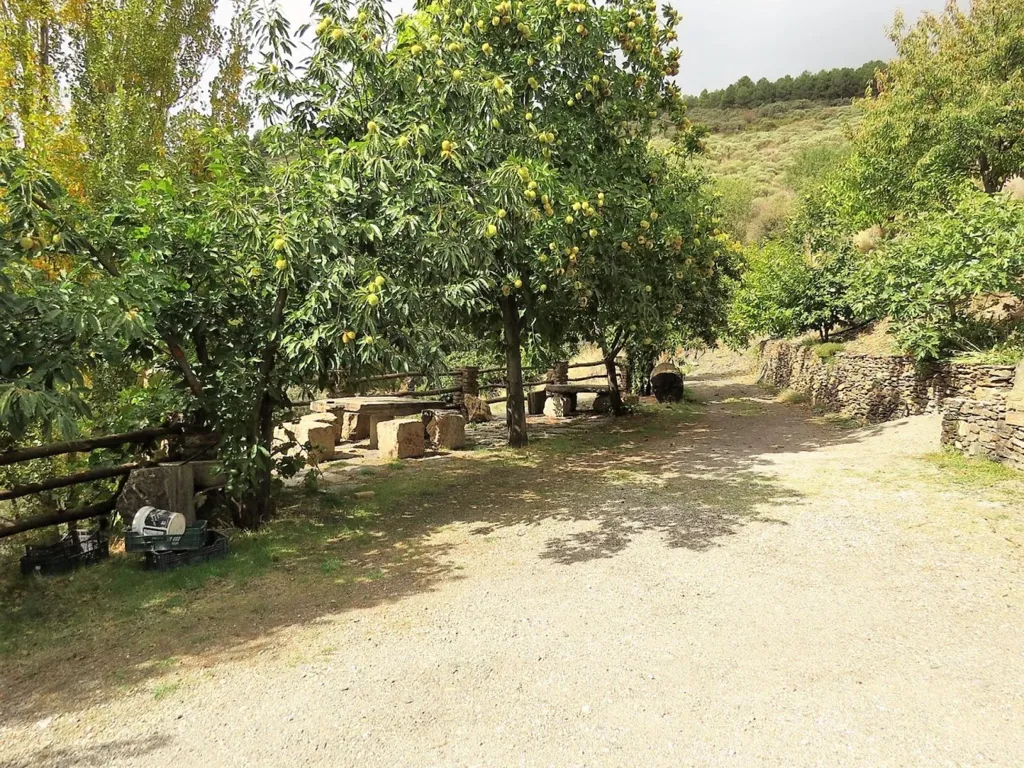 Giardino - High-Quality Mountain Cortijo with Spring in Válor
