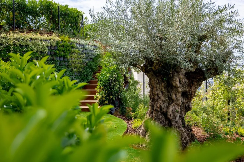 Aed - Detached Villa with Infinity Pool in Benahavís