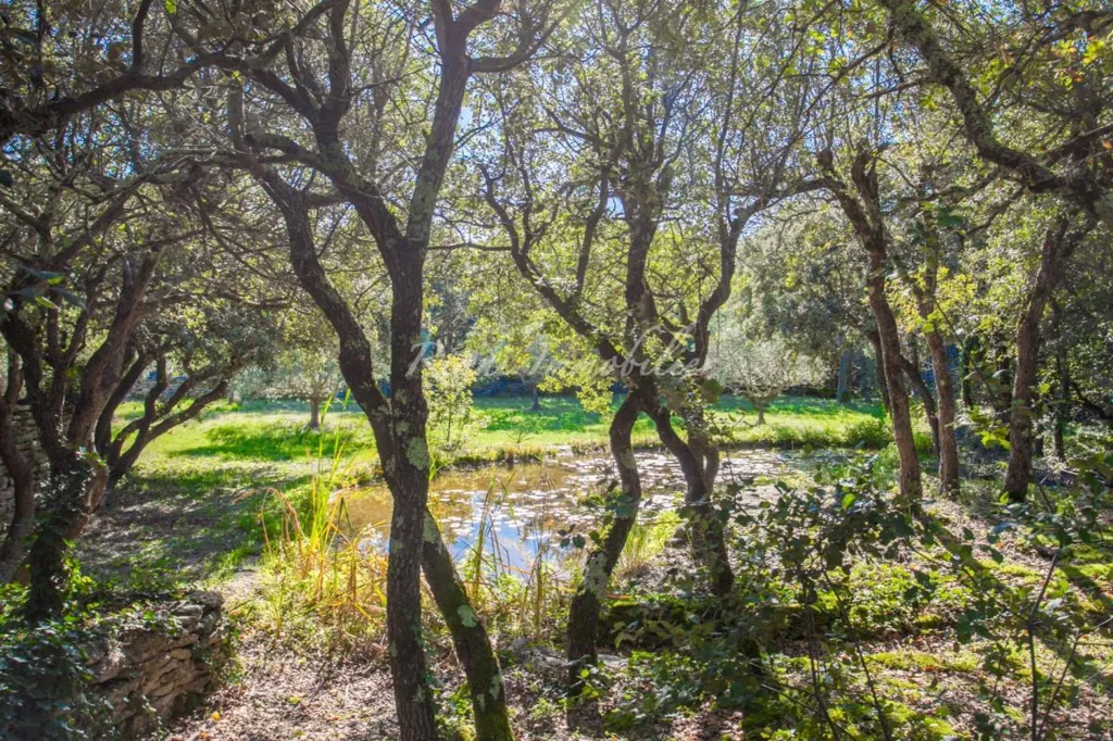 Aed - House with Pool and Luberon View in Cabrières-d'Avignon