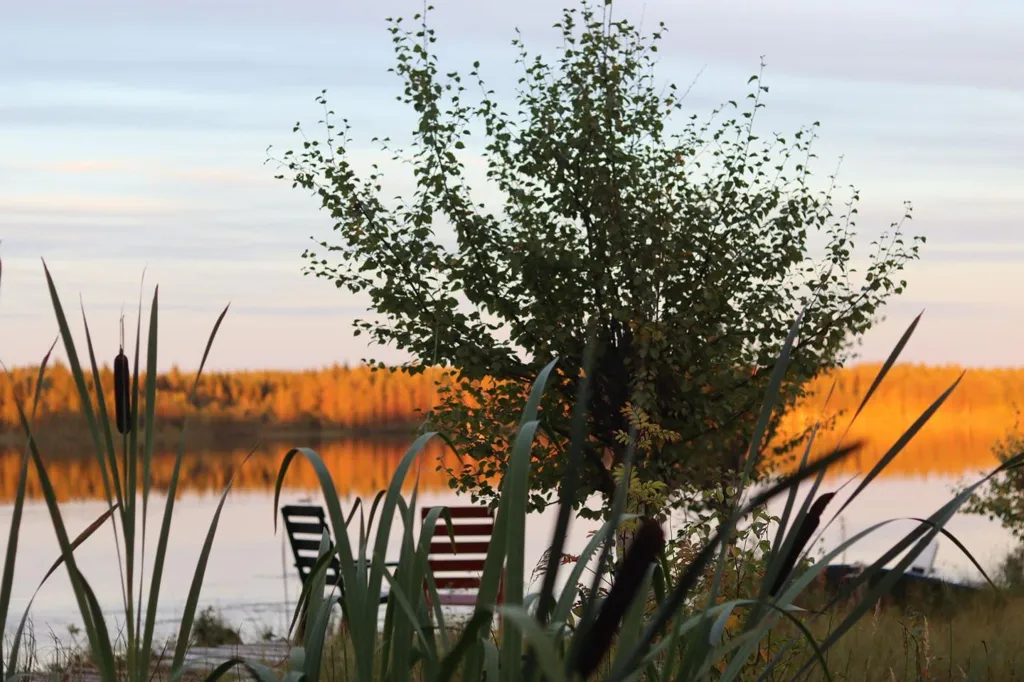 Maison 7 pièces à Älvdalen