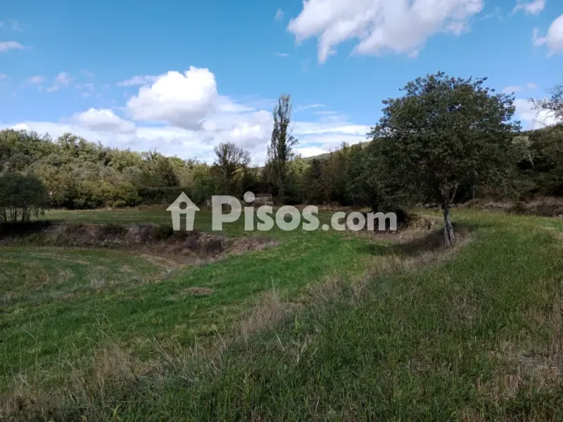 Giardino - Rustic Finca with Forest in Polígono