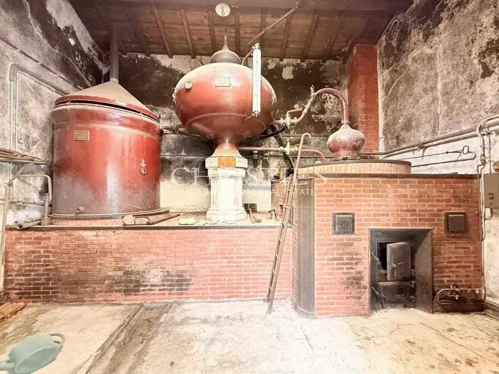 Toad - Former Cognac Distillery in Village