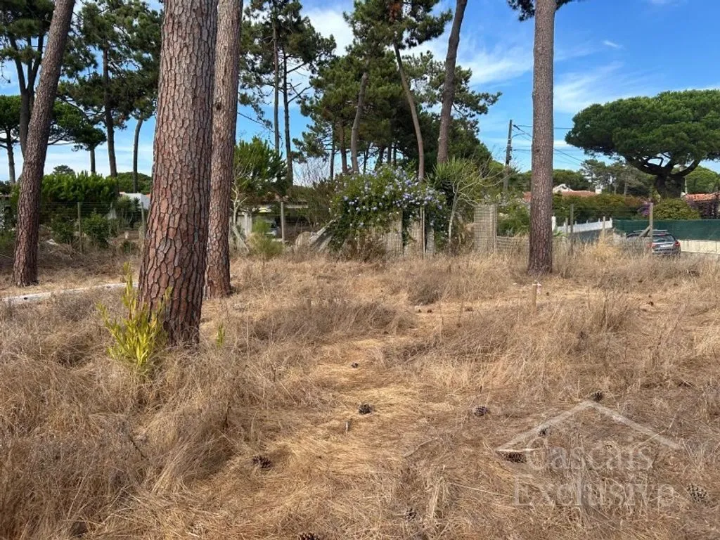 Aed - Approved Plot for T4 House in Colares, Sintra