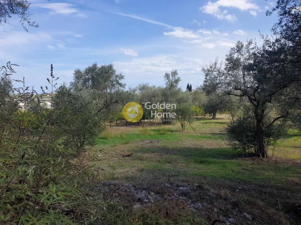 Aed - Panoramic Villa with Sea View in Erineo