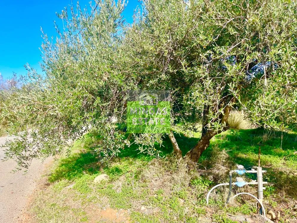 Aed - Corner Plot with Sea View in Tavronitis