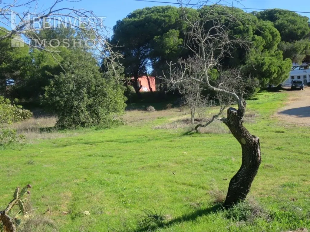Aed - Development Land with Utilities in Semino, Loulé