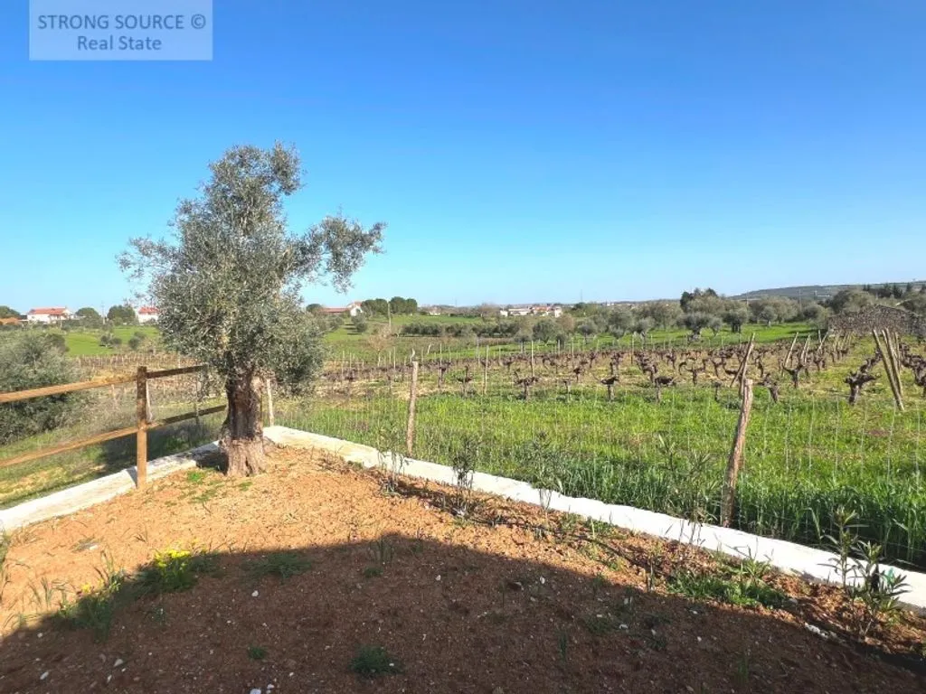 Jardin - Luxury Farmhouse with Pool in Ribatejo