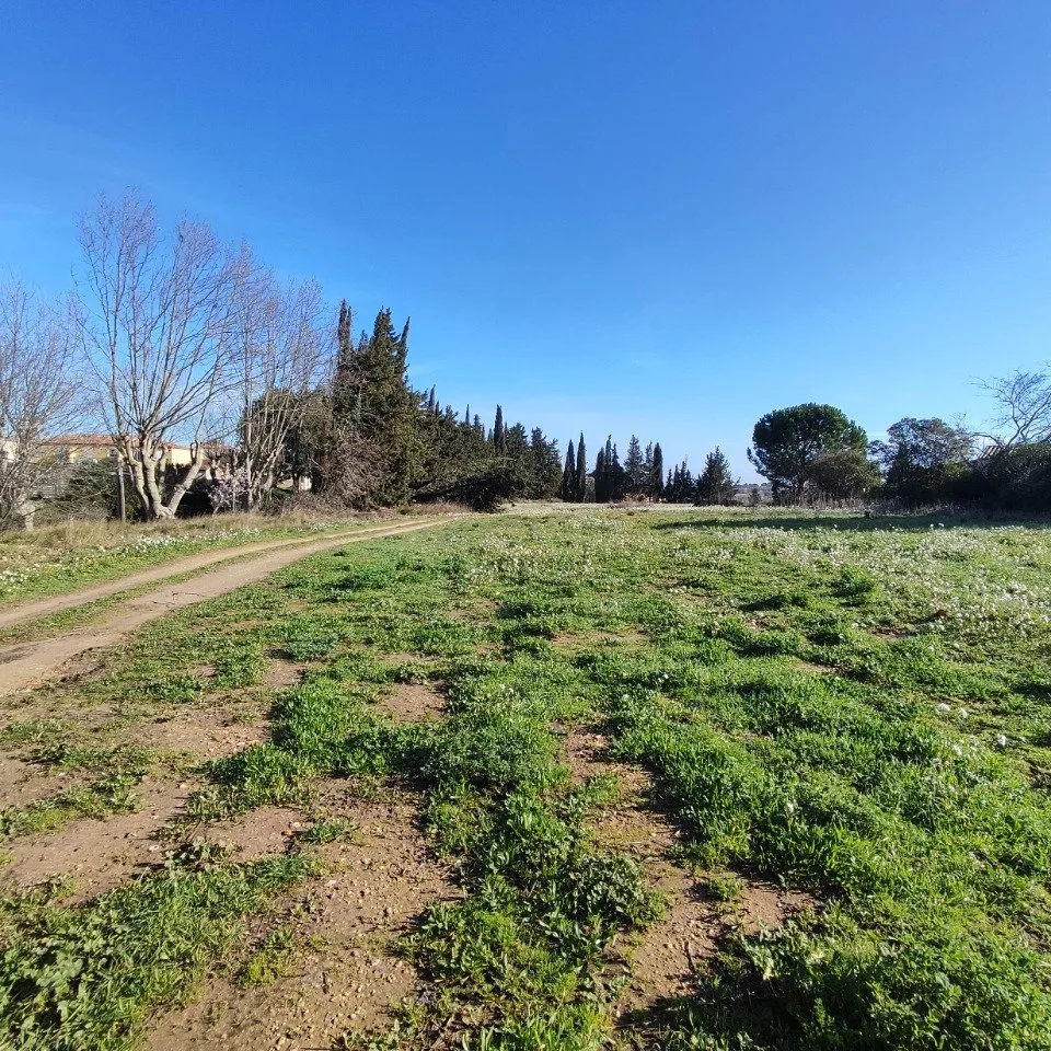 Jardin - Maison à Construire avec Jardin à Moussan