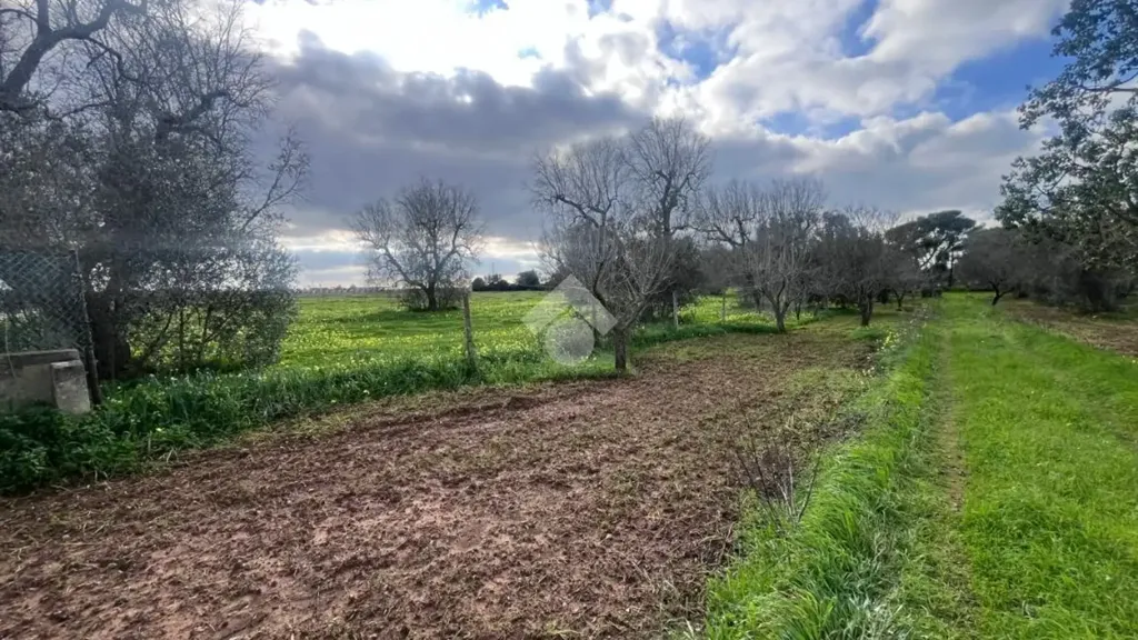 Garden - Rustic Villa with Garden in Mesagne