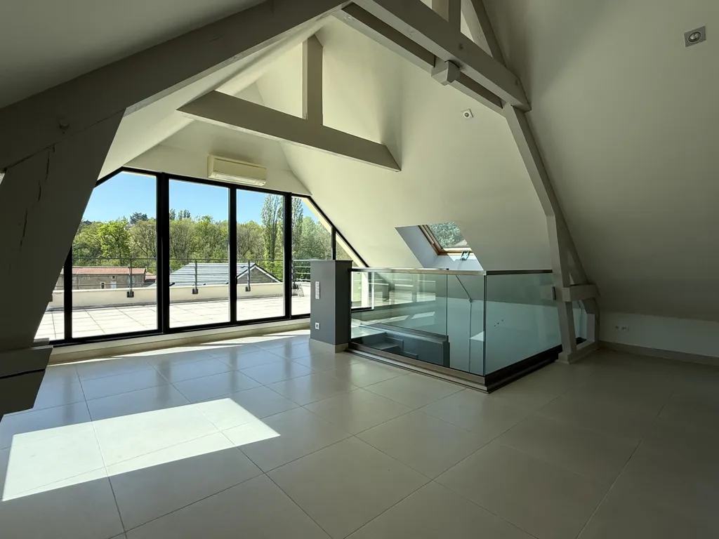 Toad - Attic Apartment with Terraced Garden in Châtel-Saint-Germain