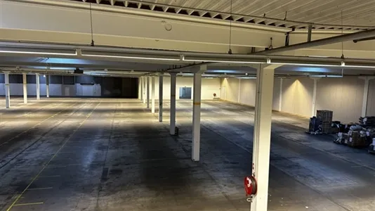 Toad - Warehouse Space with Strategic Access in Kolding