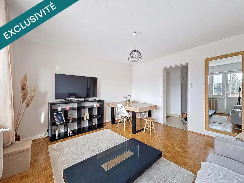 Living Room - Renovated Flat with Balcony in Riedisheim
