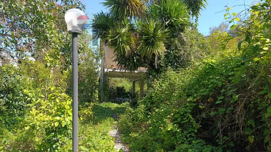 Jardin - Villa to Renovate with Garden in Augusta