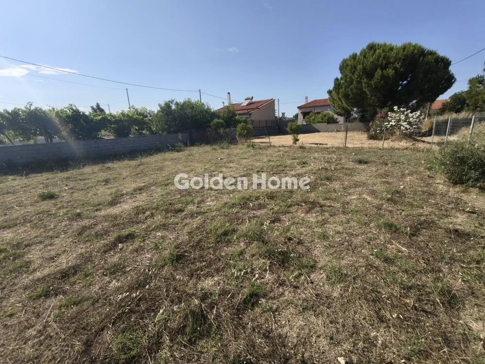 Jardin - Plot with Sea View in Artemida, Loutra