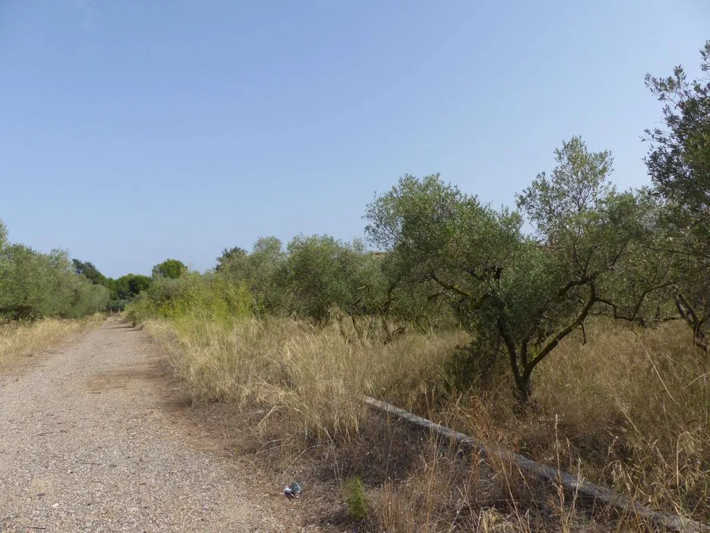 Giardino - Building Plots in Aigüesverds, Reus