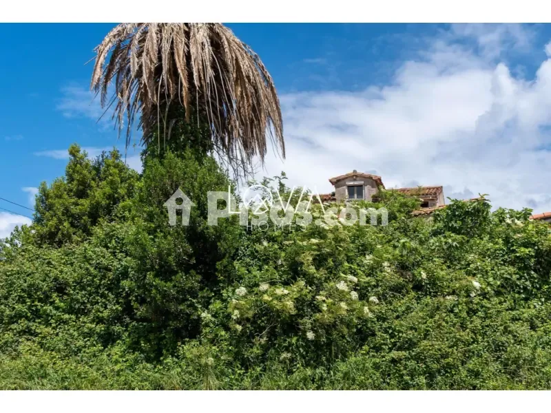Exterior - Large House with Garden in Adarzo, Santander