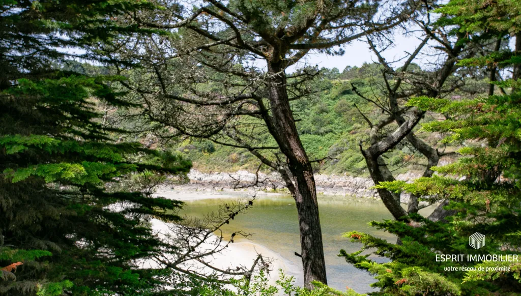Propriété Vue Mer à Névez