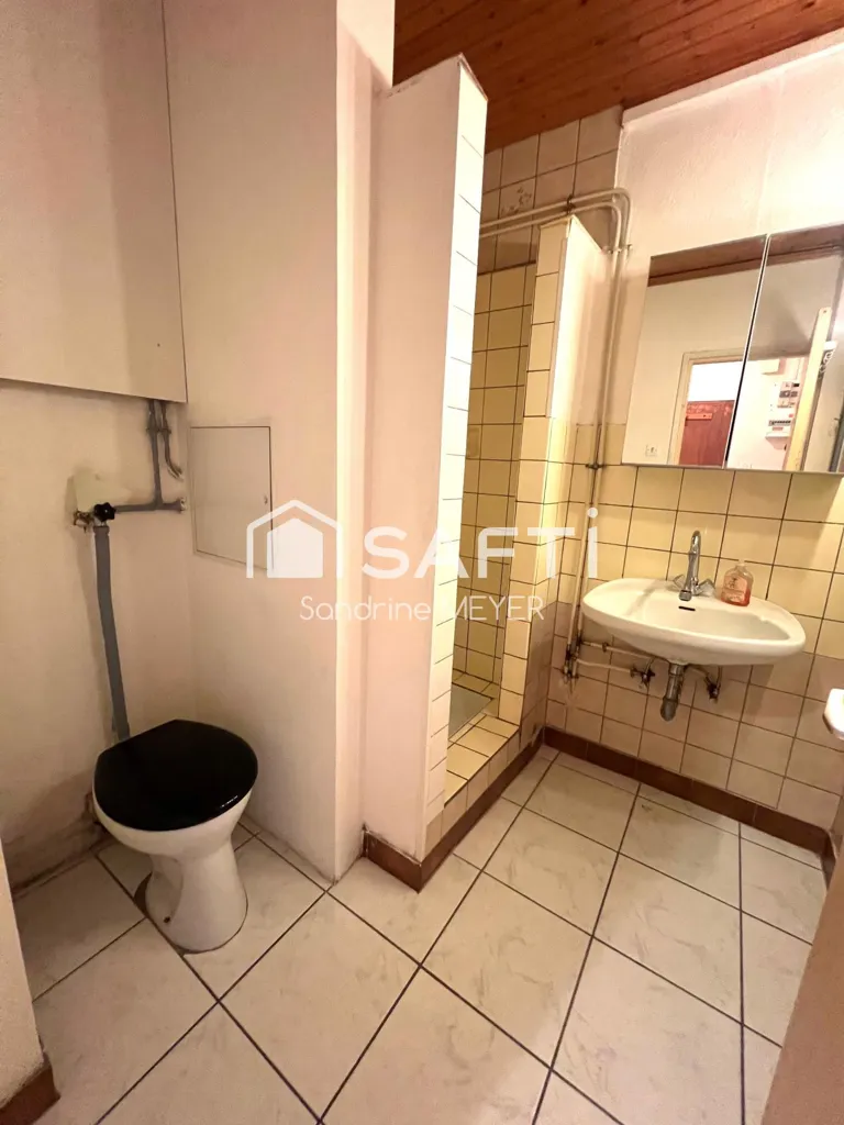 Bagni - 1-Bedroom Apartment with Balcony in Hœnheim