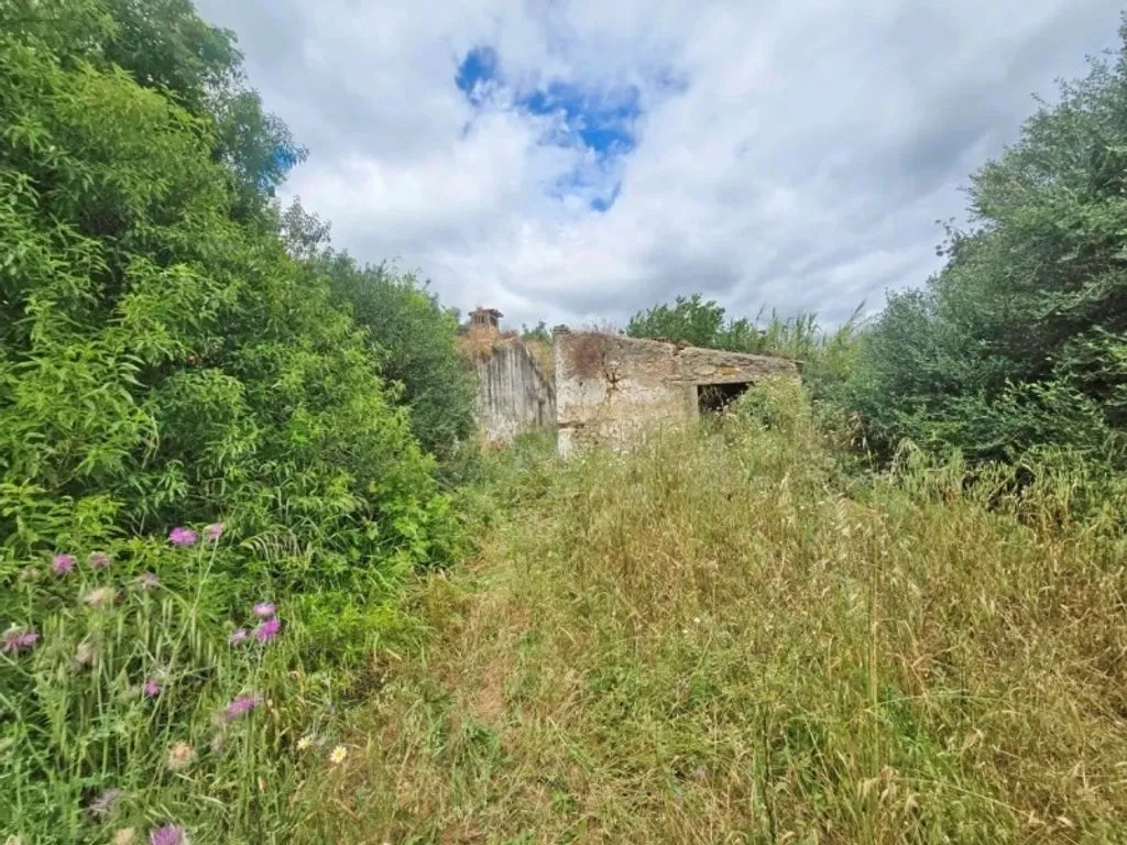 Jardin - Cottage with Rehabilitation Potential near Tavira