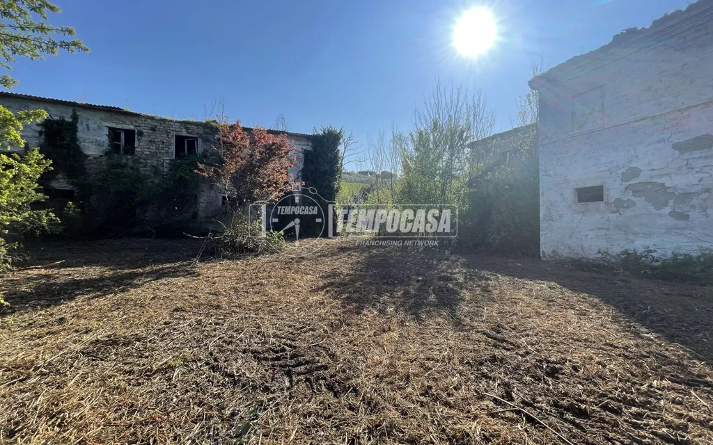 Jardin - Rustic Casale with Private Garden in Ostra