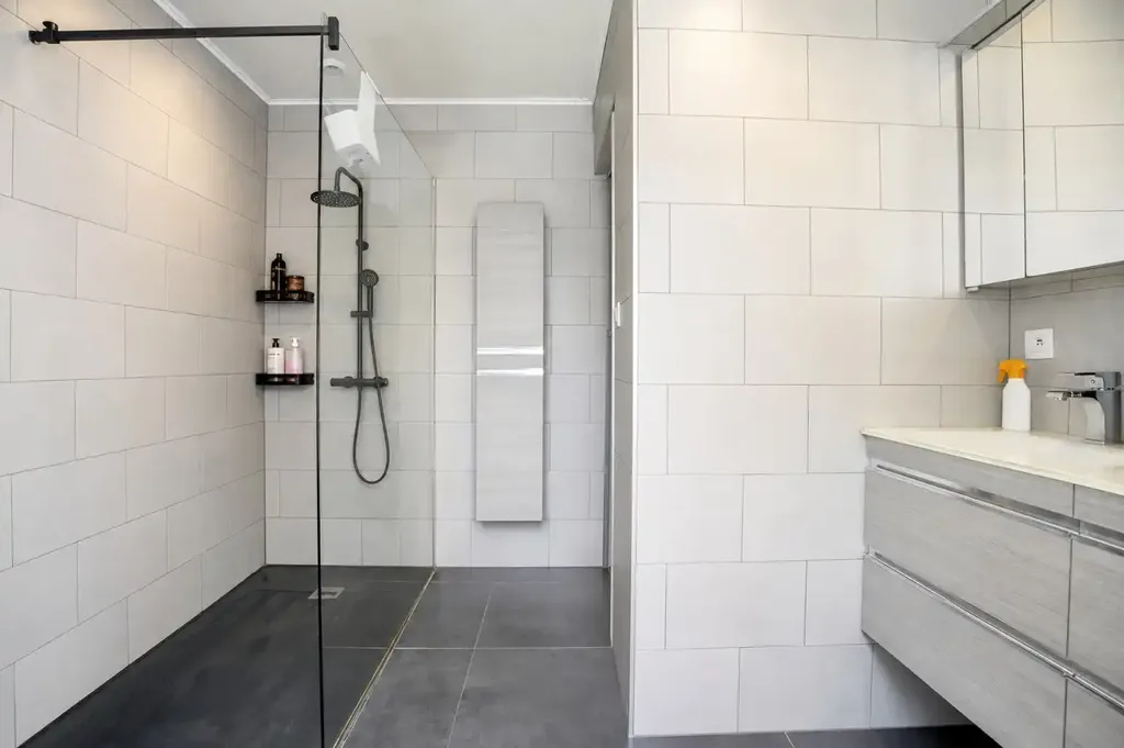 Vannitoad - Mixed-Use Property with Garage in Sint-Kruis