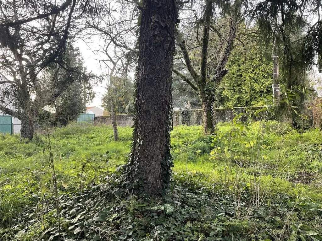 Aed - Buildable Plot with Wall Enclosure in Quiet Area