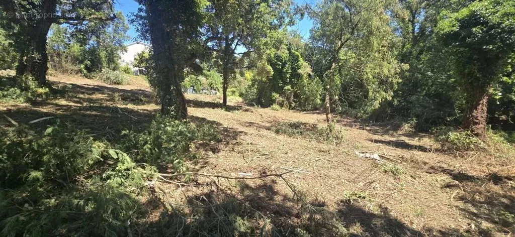 Garden - Buildable Land with Viability in Prunelli di Fiumorbo