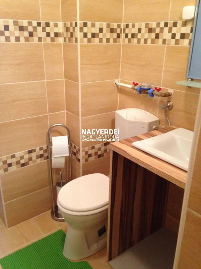 Bathrooms - Renovated Brick Flat with Balcony in Debrecen