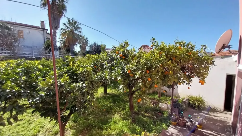 Jardin - Villa with Sea View in Diamante