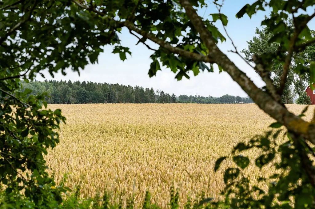 3-toaline maja asukohas Mjölby kommun