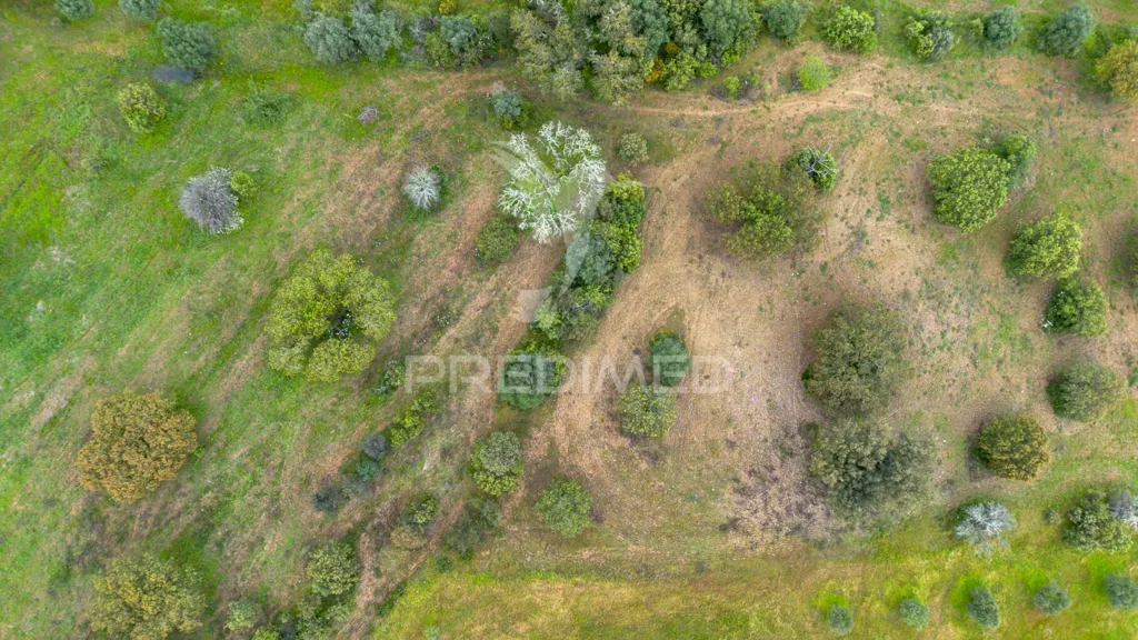 Vue aérienne - 5 Hectare Rural Land in Alandroal