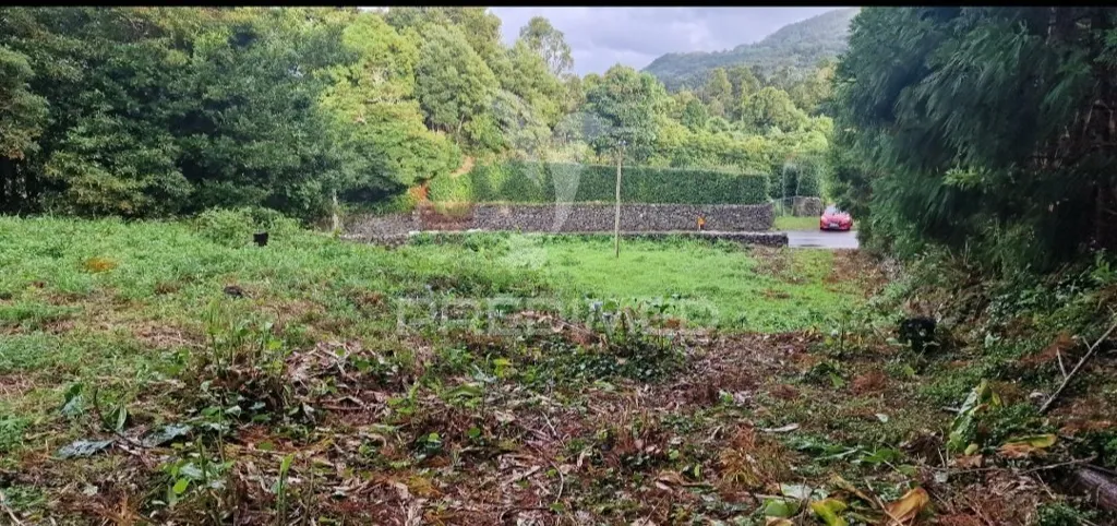 Jardin - Urban Plot with Mountain View in Biscoitos