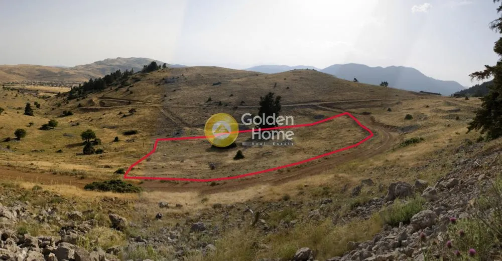 Jardin - Agricultural Plot with Panoramic View in Arachova