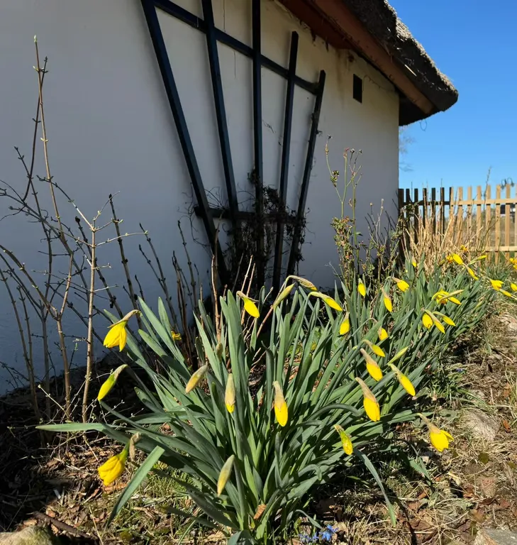 Välivaade - Historic Cross-Vaulted Farmhouse with Restaurant in Halland
