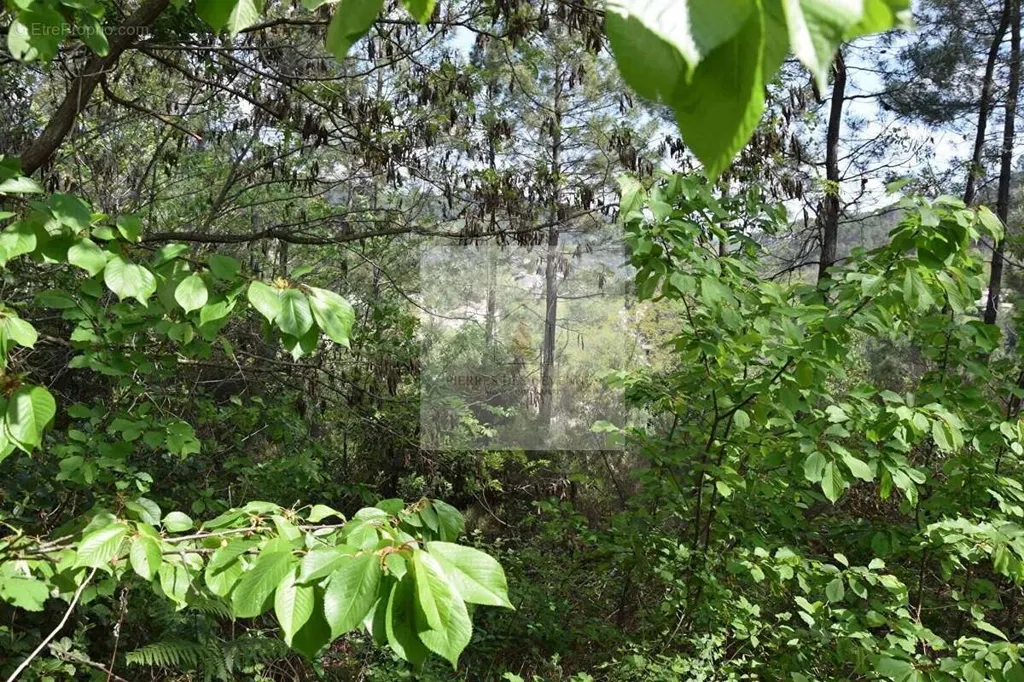 Jardin - Terrain constructible avec vue dégagée