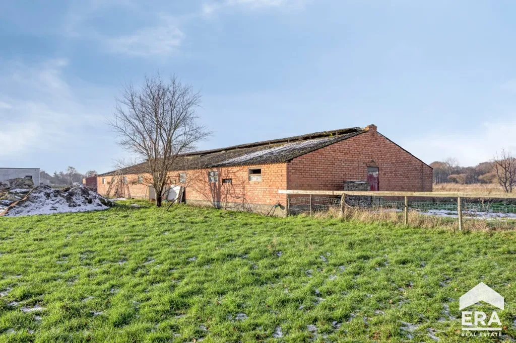 Extérieur - Maison 4 Façades avec Dépendances à Jabbeke