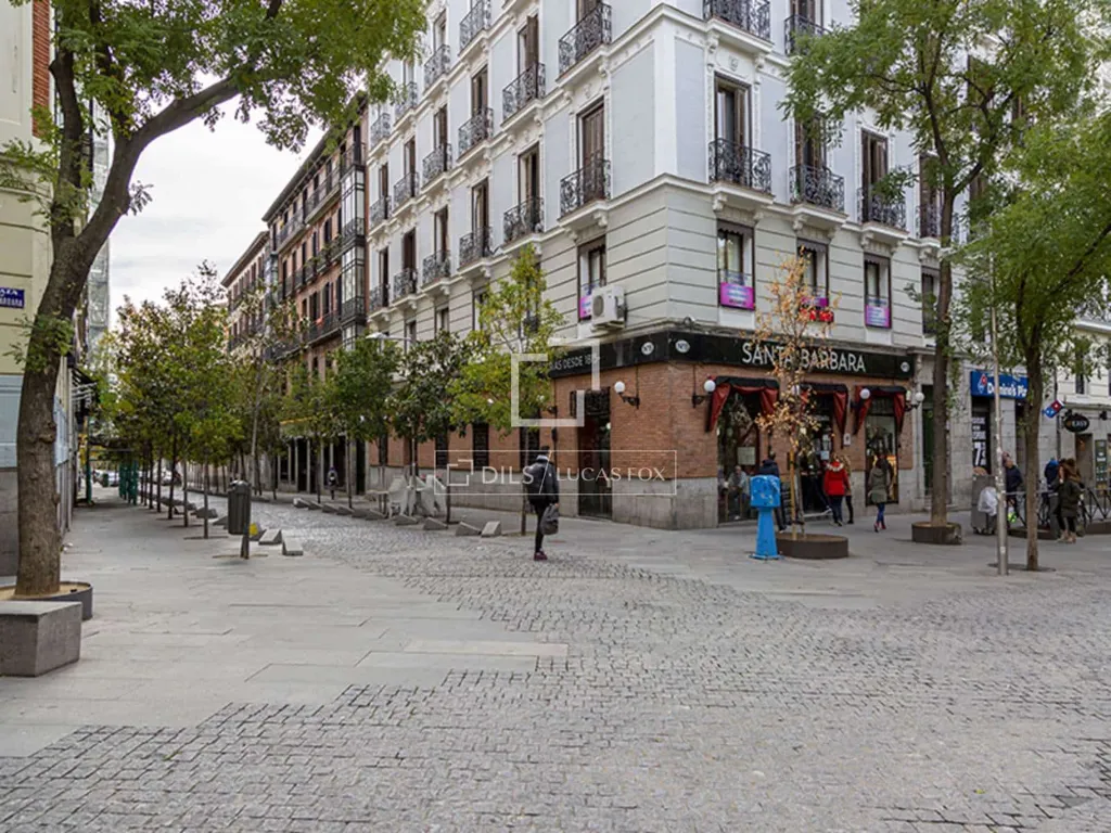 Renovated Apartment with Balcony in Madrid