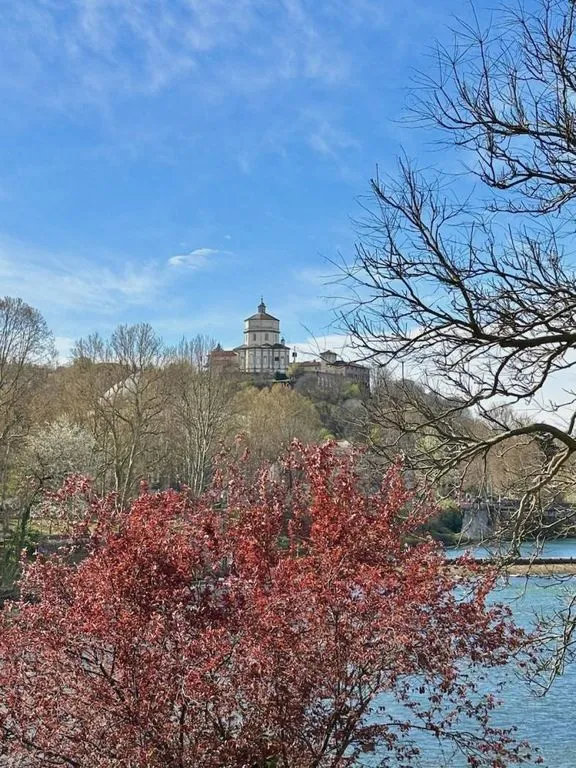Luxury Flat with River View in Turin
