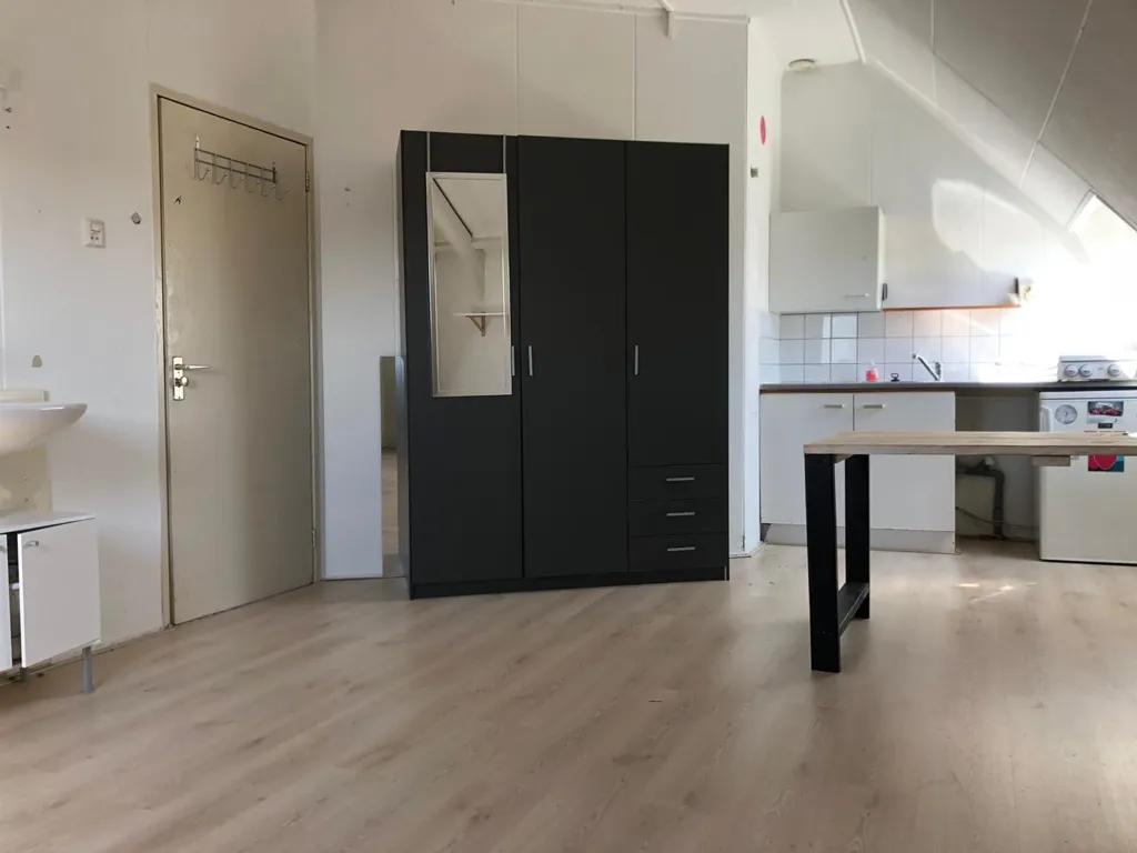 Cuisine - Studio Apartment with Kitchen in Groningen