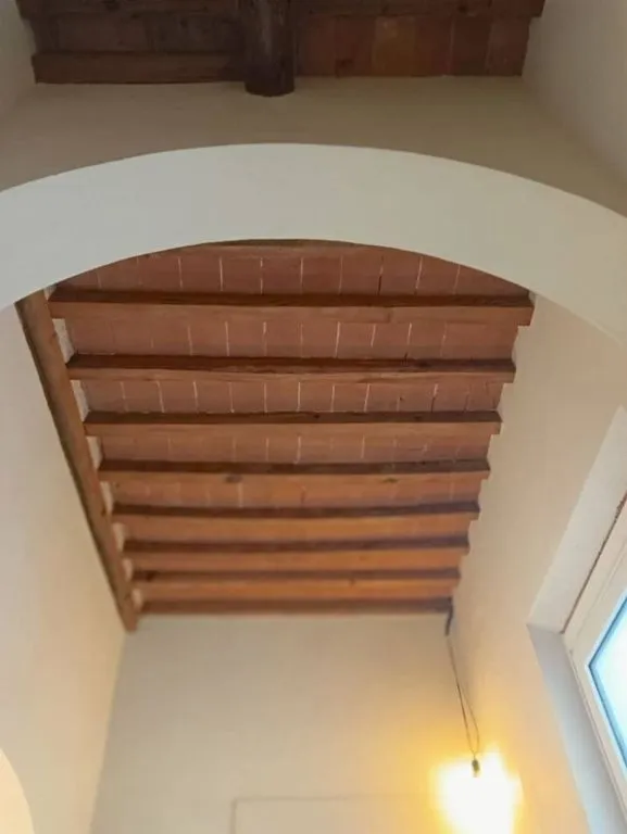 Toad - Luxury Duplex with Garden in Florence
