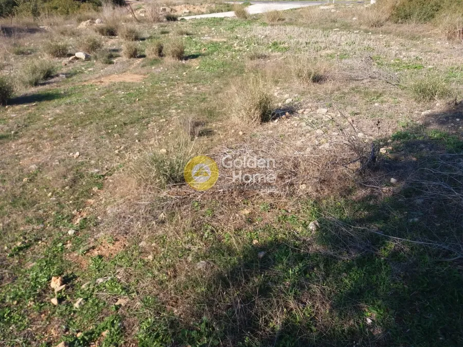 Giardino - Plot with Unrestricted View in Kalivia - Lagoni
