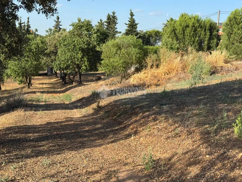 Aed - Rustic Land with Potential in Badajoz