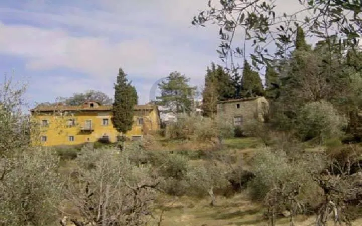Rustic House with Olive Grove in Rufina