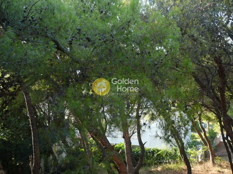 Aed - Buildable Plot with Forest View in Kallithea