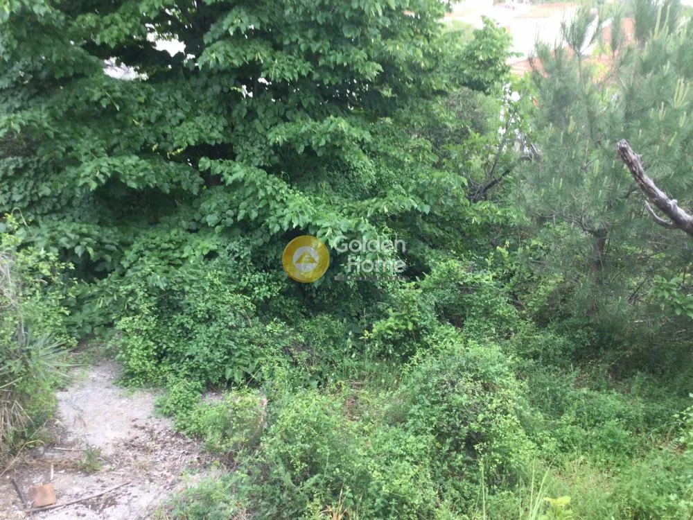 Aed - Buildable Plot with Mountain View in Peuka Centre