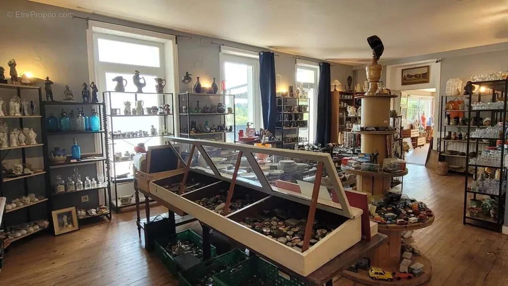 Toad - House with Commercial Space in Saint-Agrève