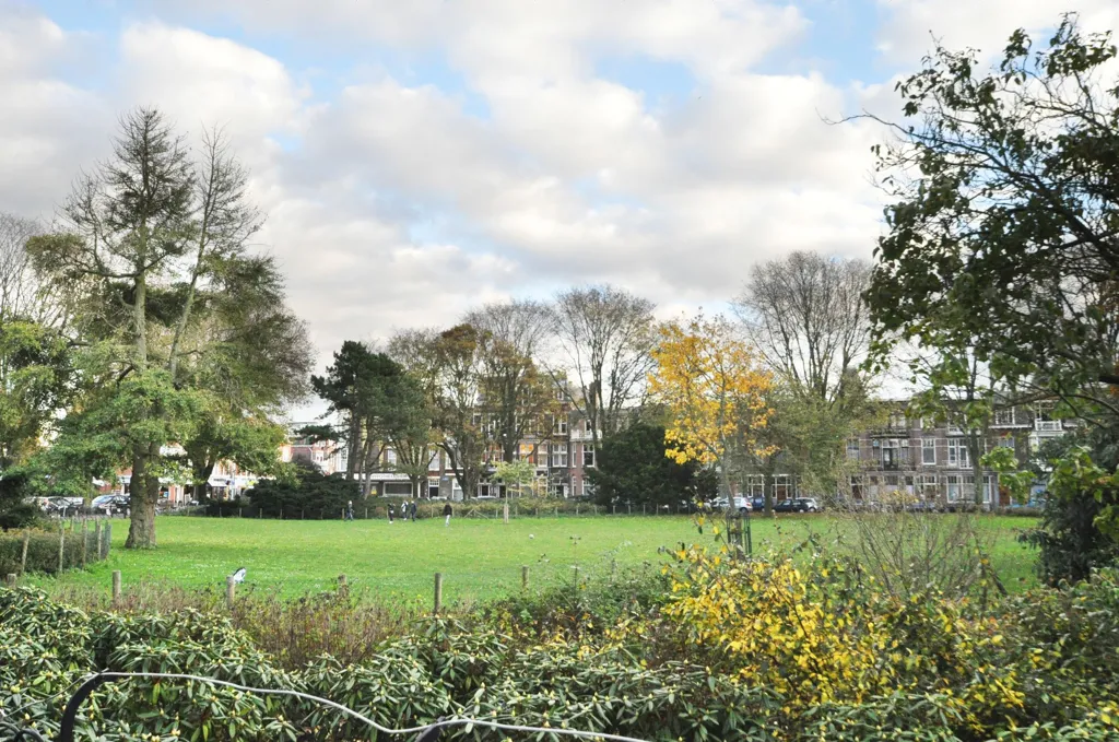 5-toaline korter asukohas Den Haag