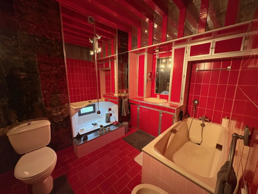 Salles de bain - Château sur Parc avec Garage à Montseveroux