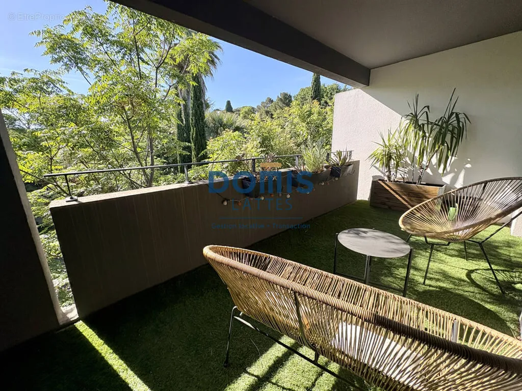 Terrass - T2 Apartment with West Terrace in Lattes