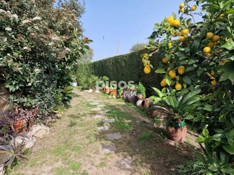 Jardin - Chalet with Private Garage in Vilafortuny